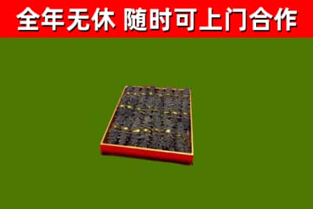 马尾烟酒回收海参.jpg